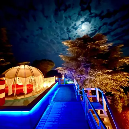 Bubble World Wild Love Проживание в семье *