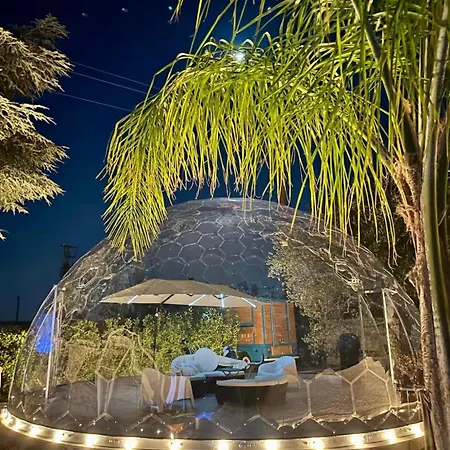 Bubble World Wild Love * Adelfia