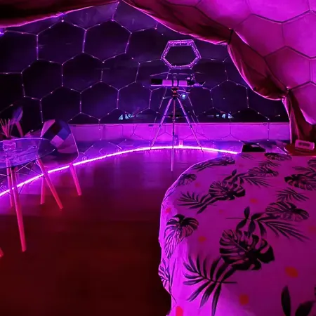 Bubble World Wild Love Campsite Adelfia