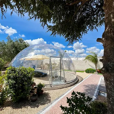 Campsite Bubble World Wild Love Adelfia