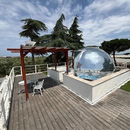 Bubble World Wild Love * Adelfia